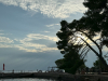 SN_5r_2024_4_35