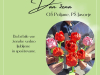 Sobivanje_Dan-zena_202502