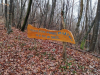 SVN_2r_Cebelica_dan2_202586