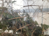 SVN_2r_Cebelica_dan3_202517