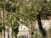 SVN_3r_Cebelica_dan3_202555