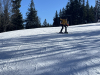 SVN_6r_Kope_dan2_202546