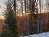 SVN_6r_Kope_dan3_202505