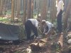 Tabor_Nadarjeni-mediatorji_202603