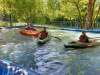 Tacen_2026_202611
