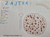 Zivim-zdravo_Zajtrk_202505